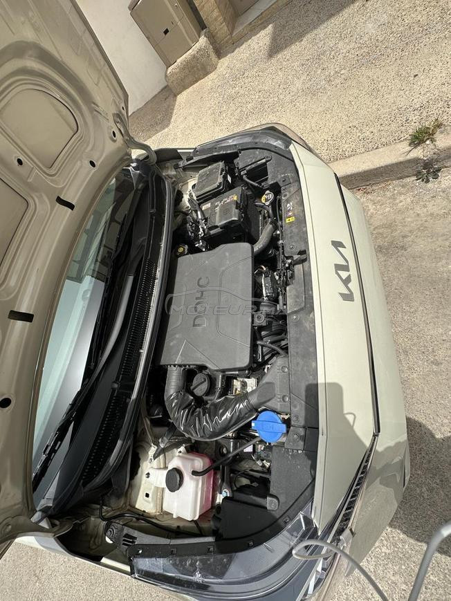 Kia picanto 2025 