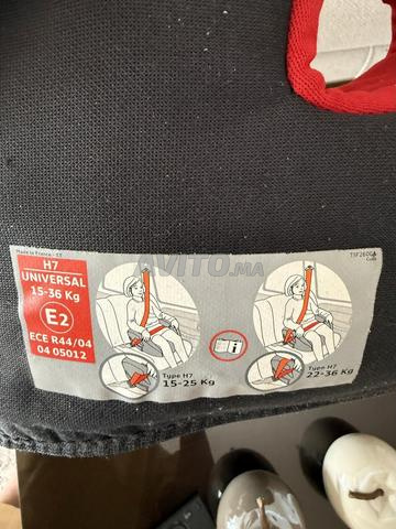 Réhausseur Tex Baby 15-36kg - 2