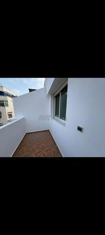 appartement à vendre belvédère - 2
