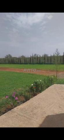 ferme agricole entre tamazouzte et ourika
