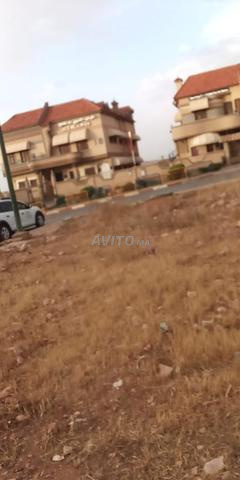 Terrain commercial villa - 2
