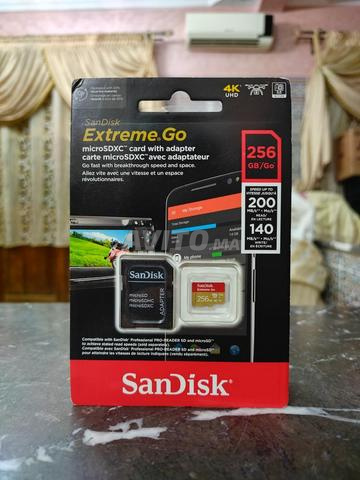 Carte Mémoire SanDisk Extreme Go 256GB- V30 / U3