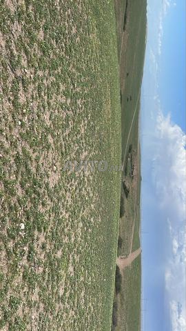 Terrain à vendre 2 hectares dans le désert d'Akvay Marrakech