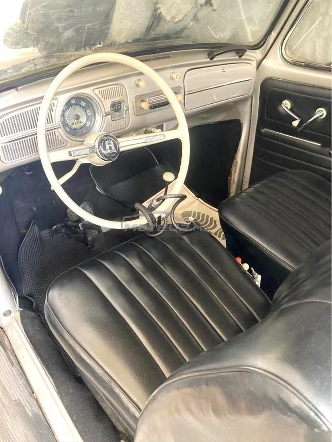 Coccinelle VW