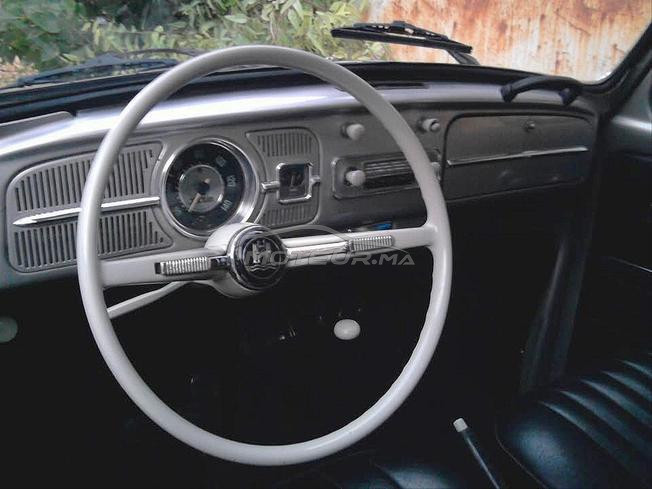 Coccinelle VW