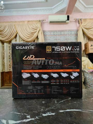 Alimentation Gigabyte UD750GM ICE V2 750W 80 Plus - 2