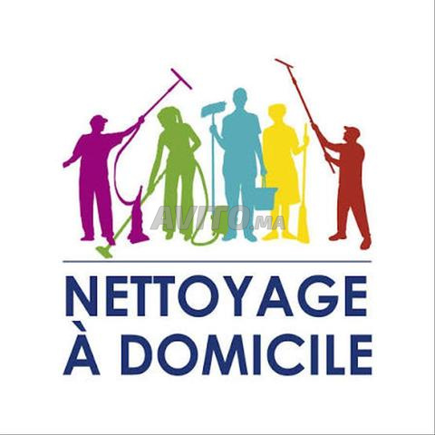 Femme de ménage, Nanou à domicile avec expérience