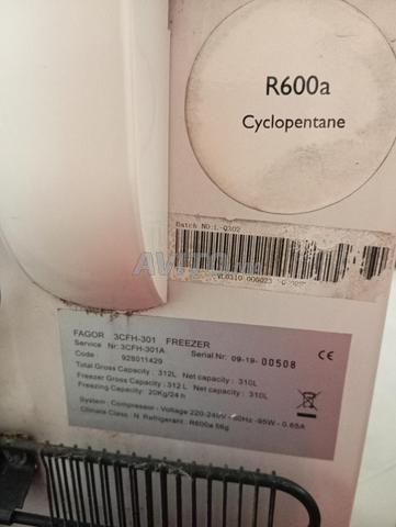 Vente d'un grand congélateur - 2