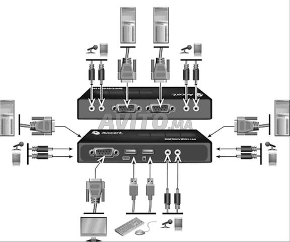 Avocent SwitchView 100 - 2