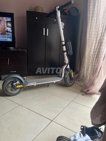 Trottinette EcoXtrem Linear - 2