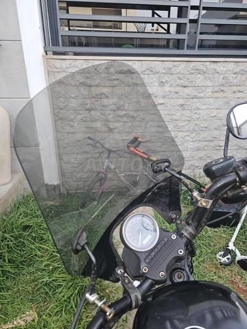 Bulle Harley Davidson - 2