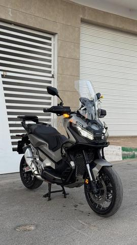 Xadv 2019