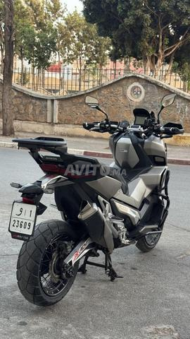 Xadv 2019 - 2
