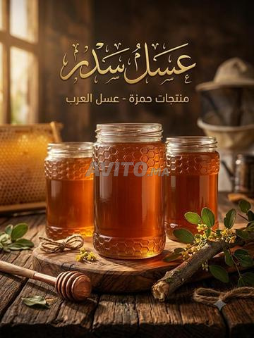 عسل سدر حر جبلي من بني ملال في الدار البيضاء
