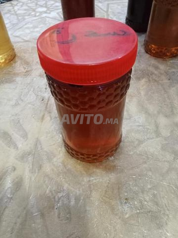 Miel de Sidr sauvage de montagne de Beni Mellal à Casa - 2