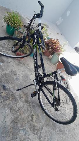 Vélo Triumph d'occasion à vendre - 2