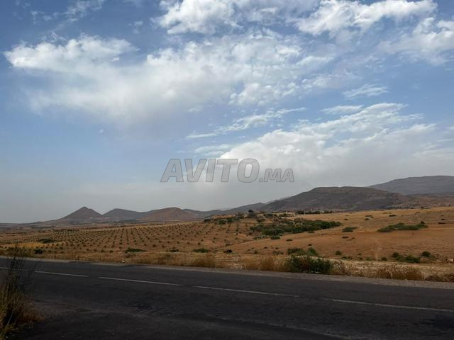 Terrain - 2