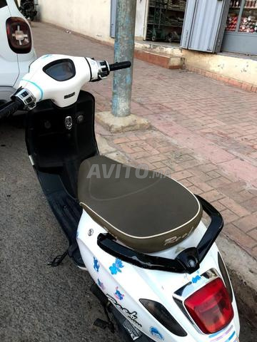 Vespa Reef Moto 80CC - 2