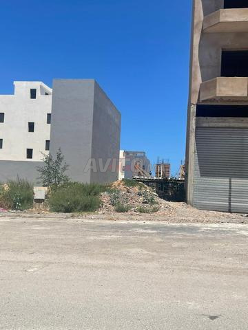 بيع أرض عارية في تاماريس