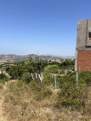 أرض عدلية للبيع طنجة نونويش - 2