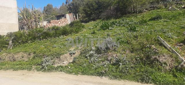 طنجة دار زهيرو - 2