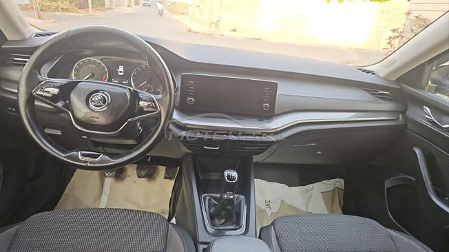 volkswagen Skoda octavia 2023