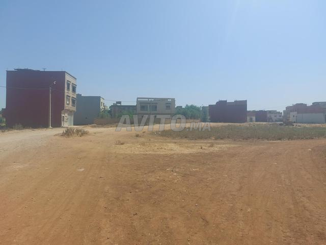 شارع محمد الخامس وسط مدينة سبع عيون - 2