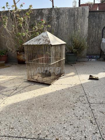 Grande cage à repeindre - 2