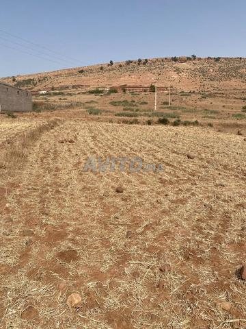 الحوز توامة - 2