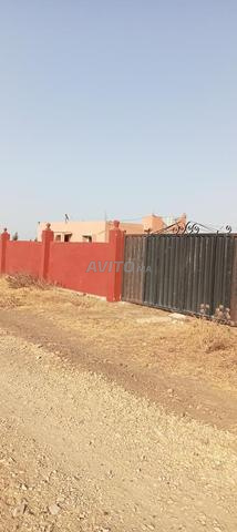 مزرعة ممتازة نواحي برشيد - 2
