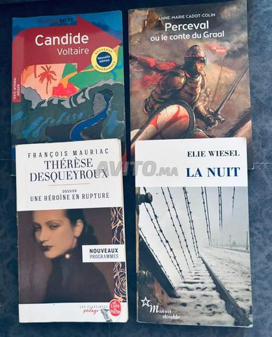 Livres système français (Bac, brevet etc) - 2