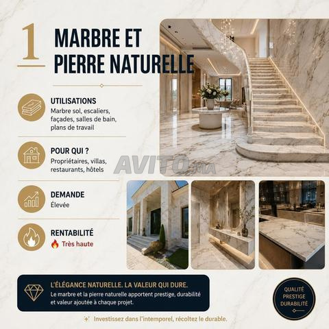 Pose marbre sol escalier et facade villa Rabat