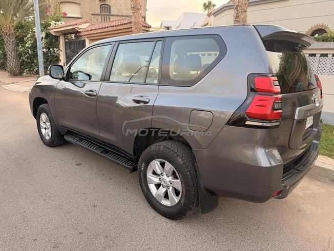 prado tx top