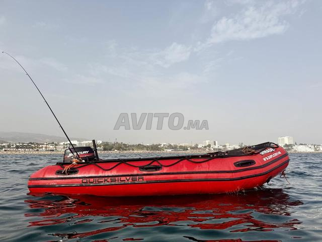 Quicksilver 320 Mercury 15 CV – Prêt à naviguer - 2