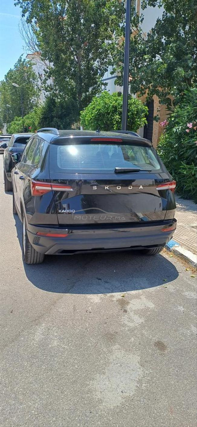 Skoda karok2025