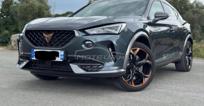 cupra dédouane 