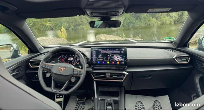 cupra dédouane 