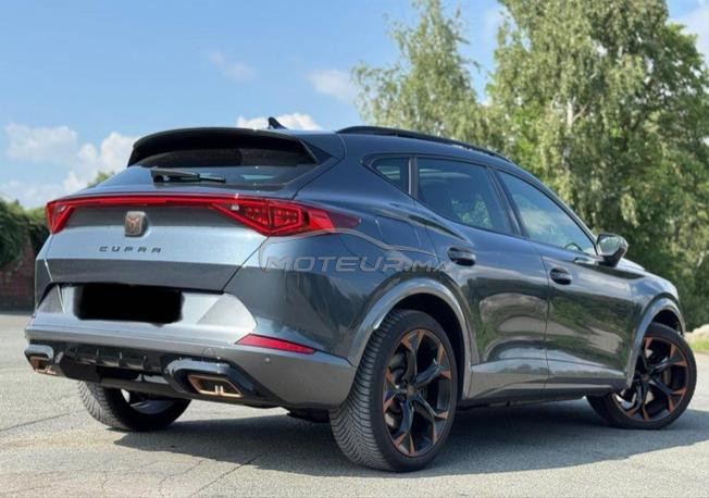 cupra dédouane 