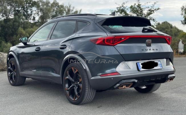 cupra dédouane 