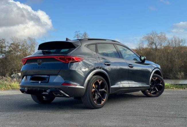 cupra dédouane 