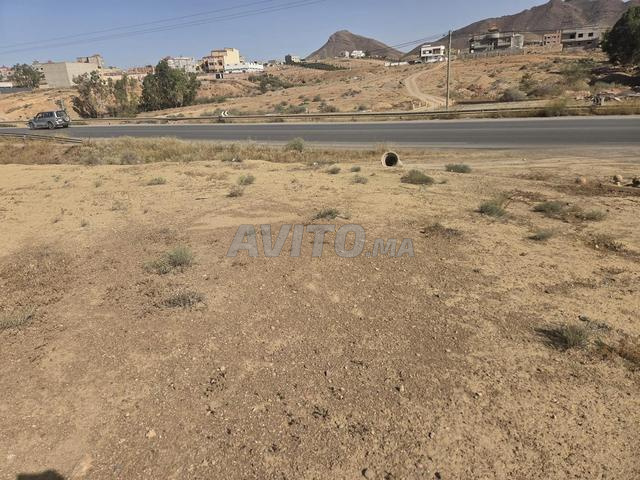 استثمار مربح... - 2