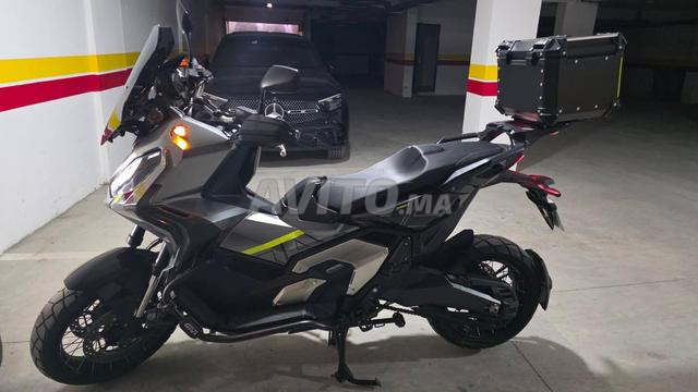 هوندا X-ADV 750cc 2024 - 2