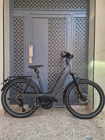 Riese Muller Delite 4 Vario smart spid2025