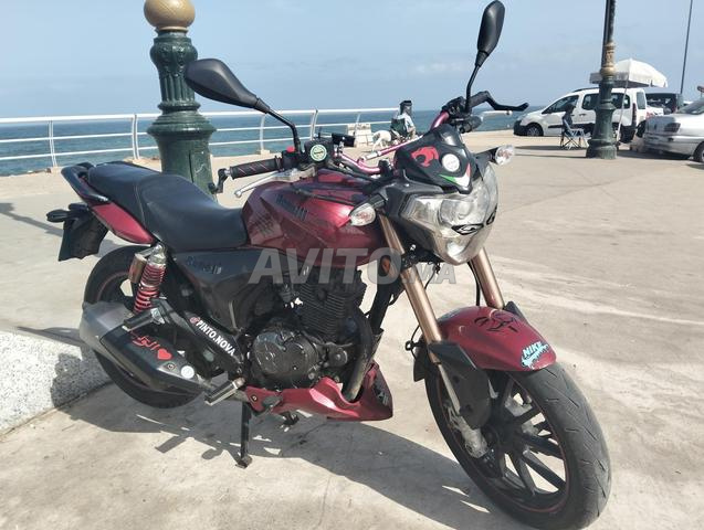 Benelli 2019 vlx - 2