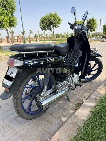 Moto C 50 - 2
