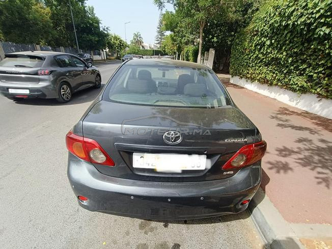 toyota corolla diesel