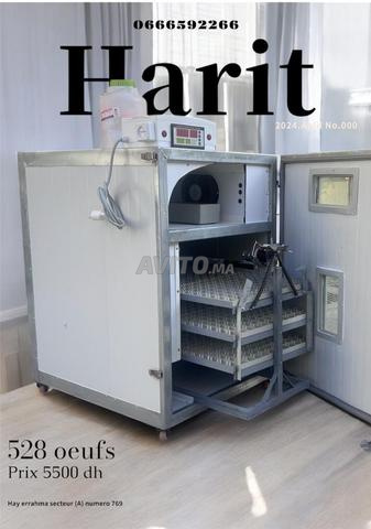 فقاسات بمختلف الأحجام - 2