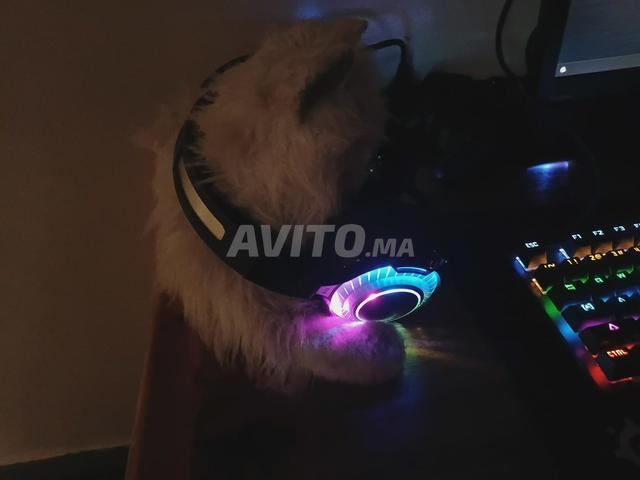 Casque gamer Jedel GH-202 - 2