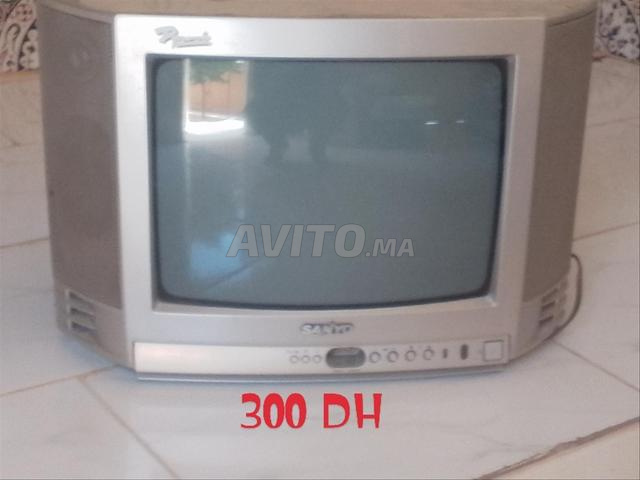 TV Sony et Sanyo 14 pouces - 2