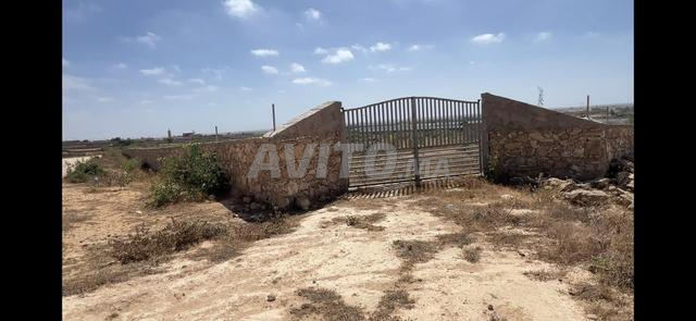 أرض فلاحية محفظة للبيع - 2
